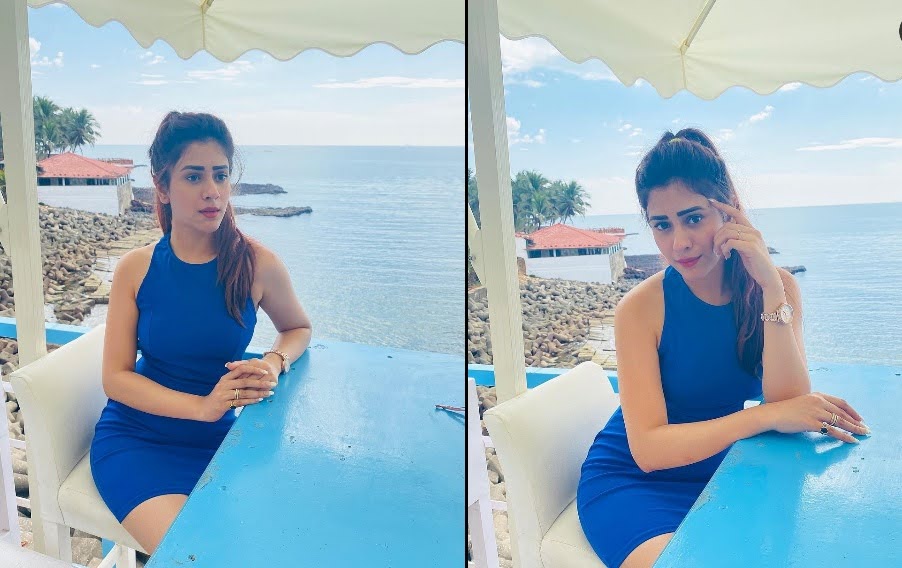Hiba Nawab slays in BLUE DRESS as she poses by the sea, SEE PHOTOS...