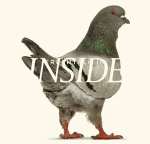 Download "Inside" in HD from Sdmoviespoint