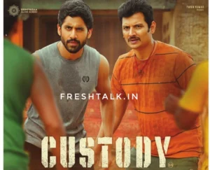 Download "Custody" in HD from Sdmoviespoint